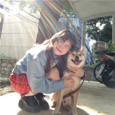 喜羊羊与灰太狼之飞马奇遇记